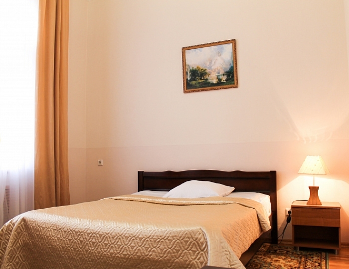 Стандартный 1-местный - Санаторий «ЦВС» Кисловодск